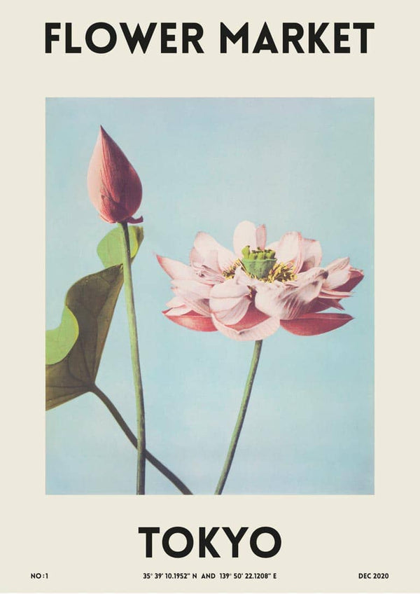 Poster of a pink lotus flower and bud with "Flower Market Tokyo" text on a light background.