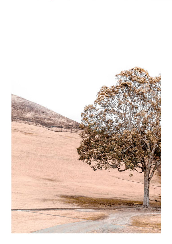 A serene tree stands by Lake Plakat, reflecting mountains and calm skies, featured on the Mountain Mirroring product page.