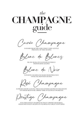 Minimalist Champagne Guide poster listing types and descriptions of champagne styles in elegant fonts.