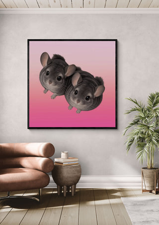 Two Chinchillas - Stidox