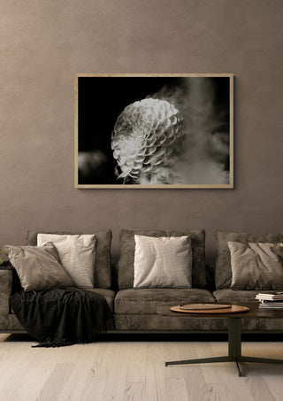 Lunar Bloom III by Guido Lucker framed in light wood above a grey sofa with cushions