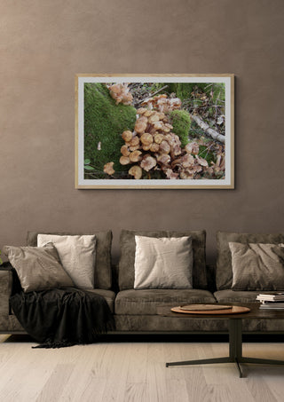 Skogens puls by Ljilja Marinic in a light oak frame on a warm grey wall above a brown sofa