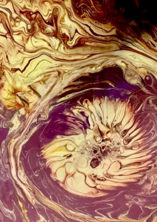 Plum Bloom by Da Winters - a cream and gold bloom opening on a deep plum ground