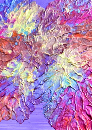 Petal Ridge by Da Winters - ridged petals of thick pink, violet and blue paint pulled across lilac