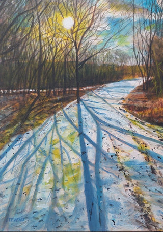 Shadows of the Day by Finbar Stevens - long blue tree shadows across a snow-covered track