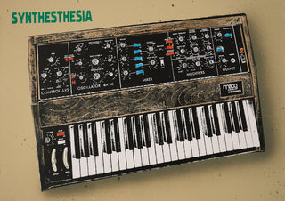 Synthesthesia by Carl Smith ART - a classic Minimoog synthesiser with blue and red switches