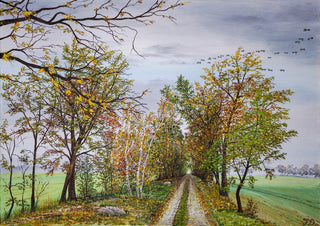 Autumn in Mecklenburg by Juergen Duerrmann - a rutted track between yellow autumn trees under a grey sky