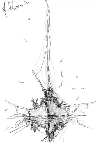 Ship and Gulls by Justyna Kopania - a tall ship drawn in fine black line with gulls around it