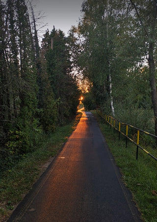 The Amber Forest Path by Bora Kőhalmi - amber evening light on a narrow paved path between dark green trees