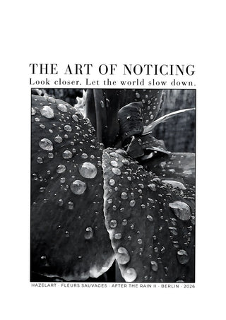 after the rain II by hazelart - raindrops beaded on dark leaves in black and white under the words THE ART OF NOTICING