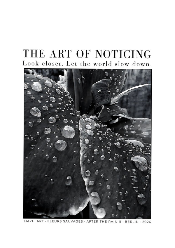 after the rain II by hazelart - raindrops beaded on dark leaves in black and white under the words THE ART OF NOTICING