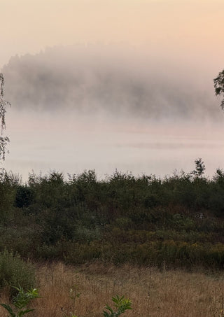 När älvorna dansar by Ljilja Marinic - mist lying over a lake at dawn above dark green scrub