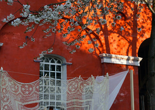 Lace and Blossom, Christiania by Helene Høie - white lace on a washing line against a deep red wall