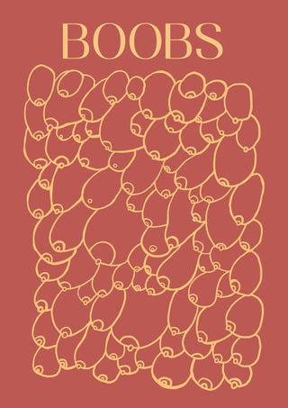 Boobs by Astrid Lind - rows of breasts in pale outline on a warm terracotta ground