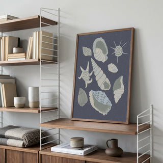 Seashells Collection - Aliya Putrus