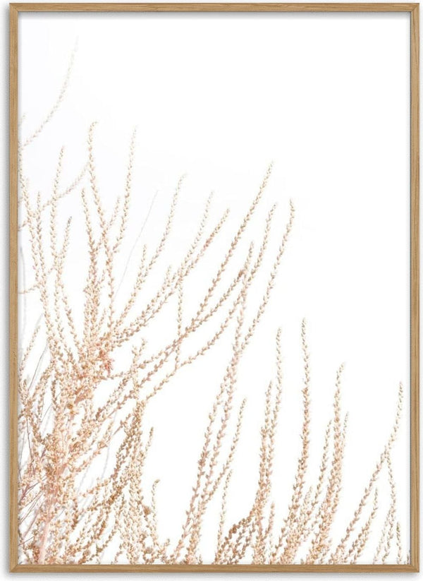 Minimalist artwork of delicate, abstract reed branches in soft beige against a white background.
