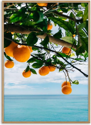 Amalfi Coast Oranges IV