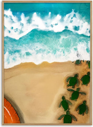 Diving into summer - KG Studio