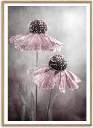 Duet - Mandy Disher