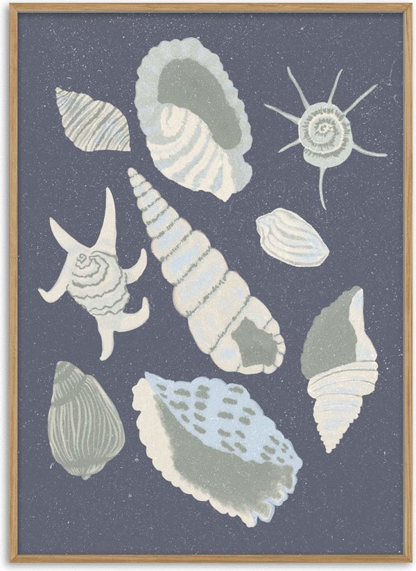 Seashells Collection - Aliya Putrus
