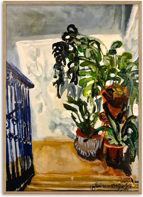 Skylight by Mariam De Giorgio — potted green plants in a sunlit corner beside a dark blue wrought-iron gate