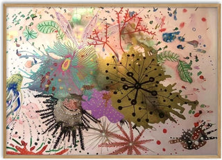 Sylvia’s dream - Debbie Seenan