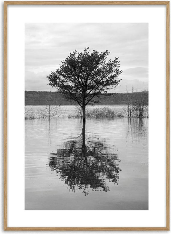 Black and white poster of a tree standing in a lake with its reflection mirrored in the water.