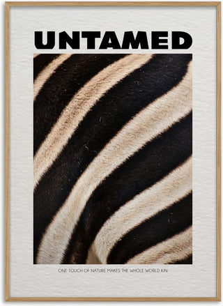 Untamed Zebra - Daniel Leo