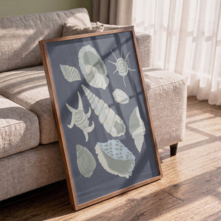 Seashells Collection - Aliya Putrus